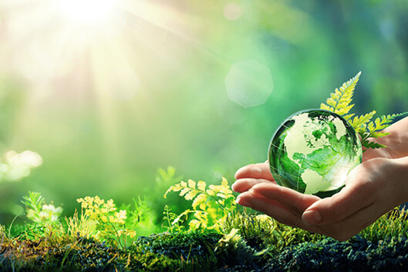 Responsable Commercial.e Germanophone – Négoce de Matériaux image