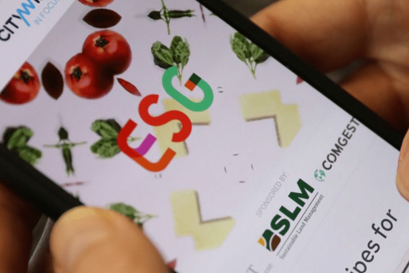 Content Project Coordinator image