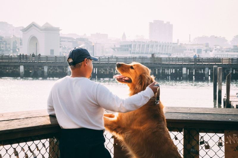 Product Sales Specialist - Pet Health image