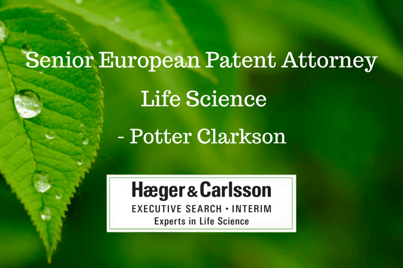 Senior European Patent Attorney  Life Science  Stockholm - Potter Clarkson image