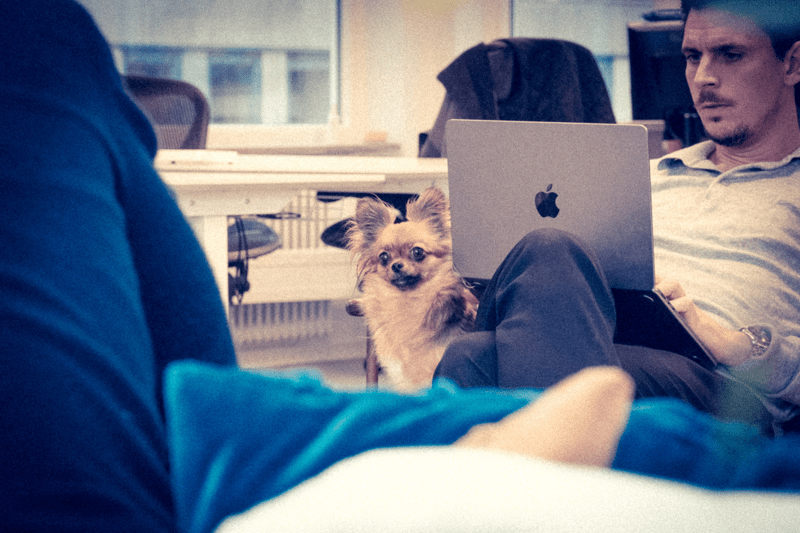 Key Account Manager till snabbväxande aktör inom detaljhandeln image