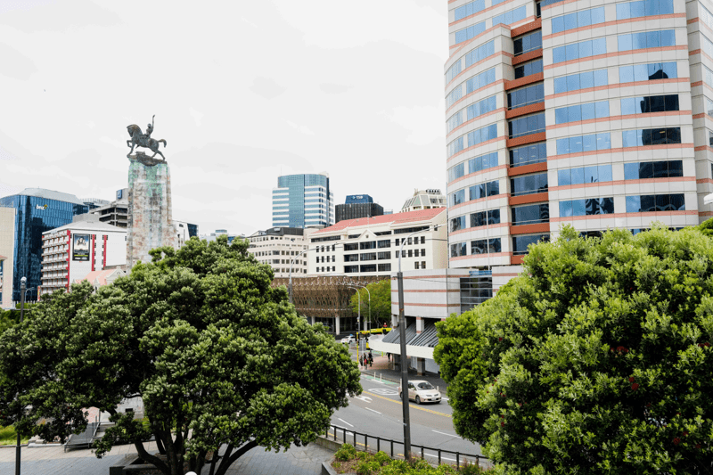 Lead Advisor, Policy image