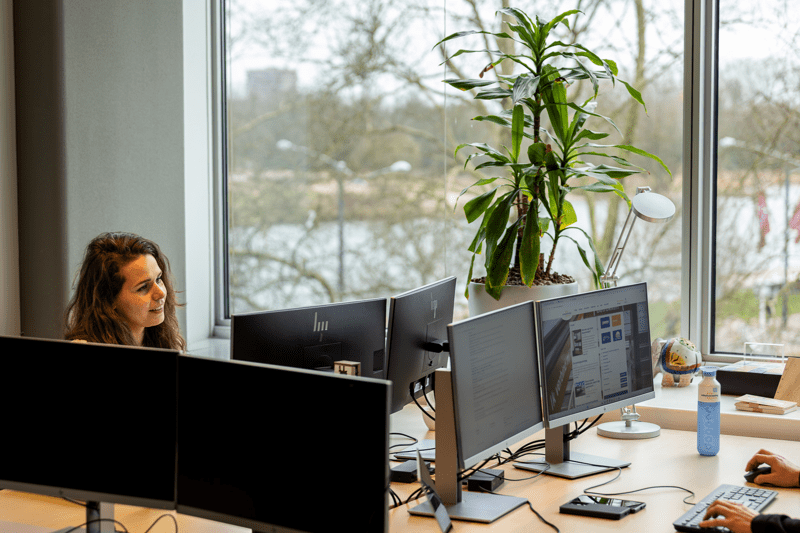 Afstudeeropdracht HRM image