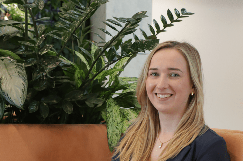 ERP Consultant (Nederland) image