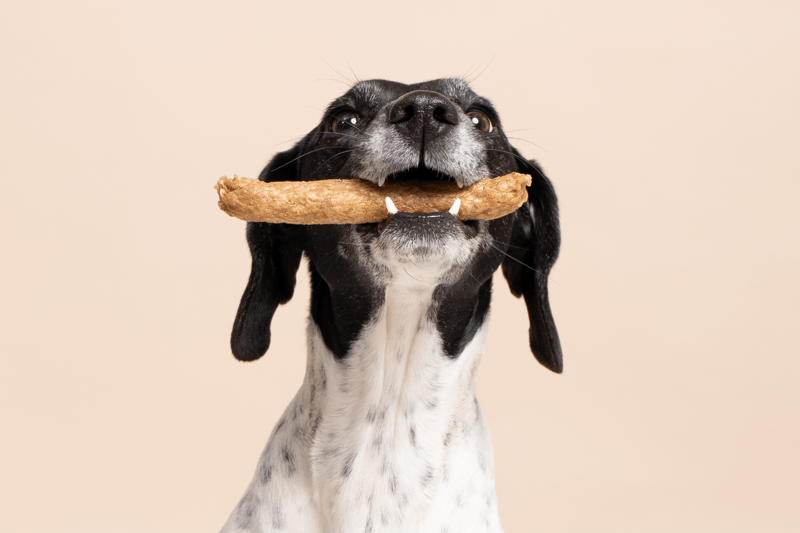 Doer med säljtalang? Joina Sveriges snabbast växande hundmatsbrand!🔥 image