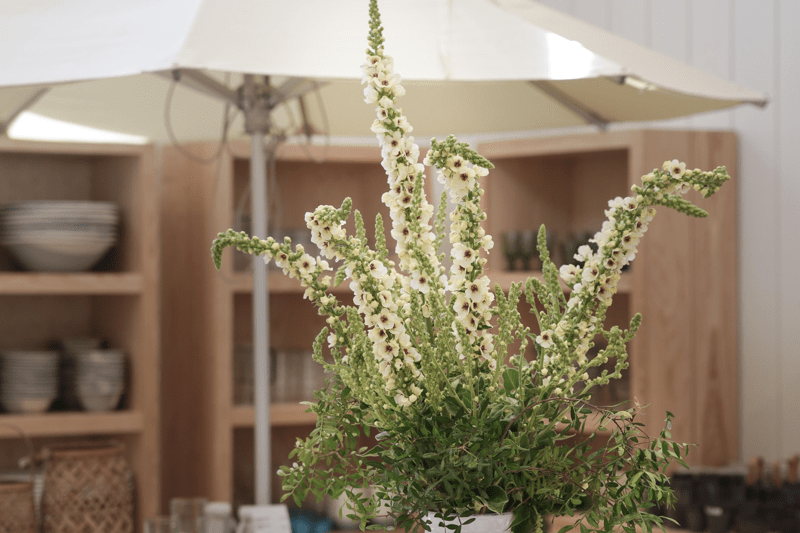 Product Assistant Homeware image