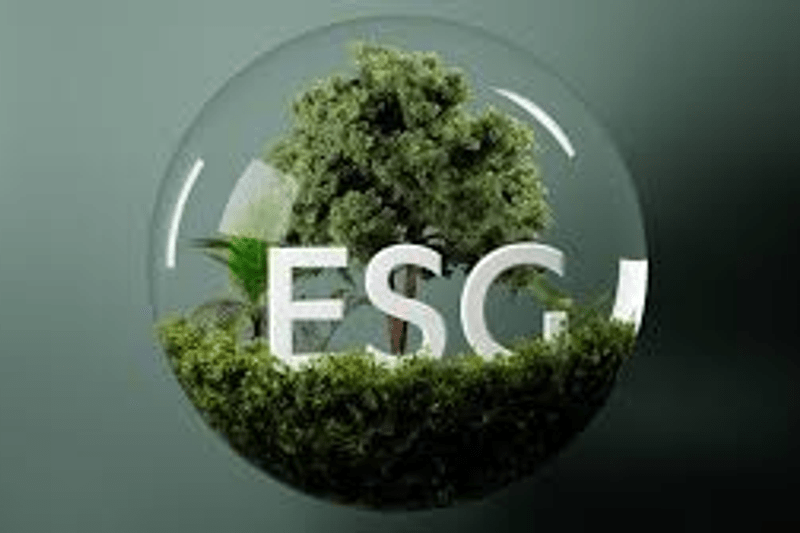 Técnico ESG (Especialista en transición ecológica de PRODUCTO) image
