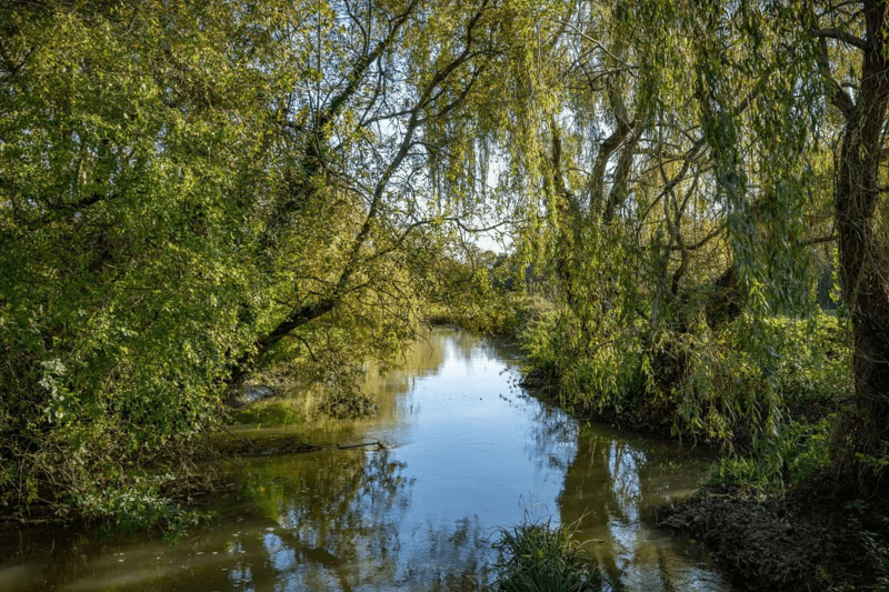 Catchment Officer image