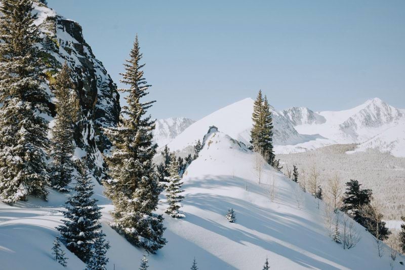 Engagerad assistent sökes till social tjej image