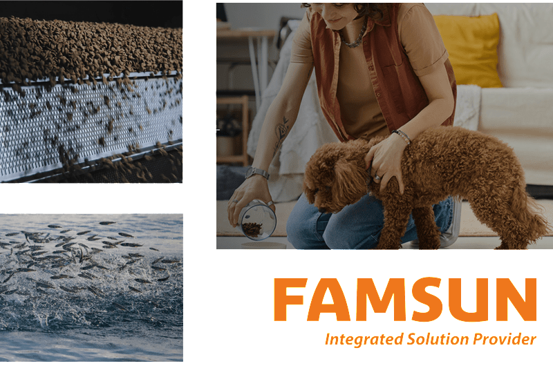 Senior P&ID & Process Engineer – Europe image