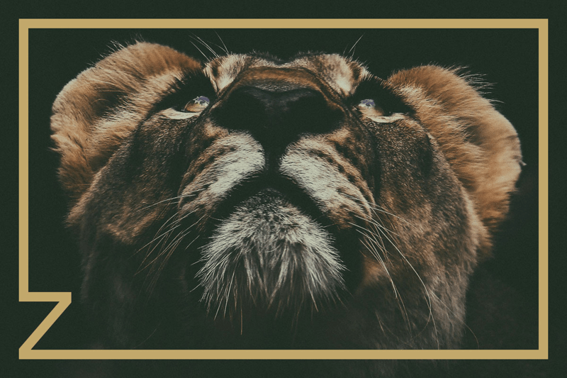 Treasury Technology – Senior Consultant to Director (several positions, level depends on experience) image