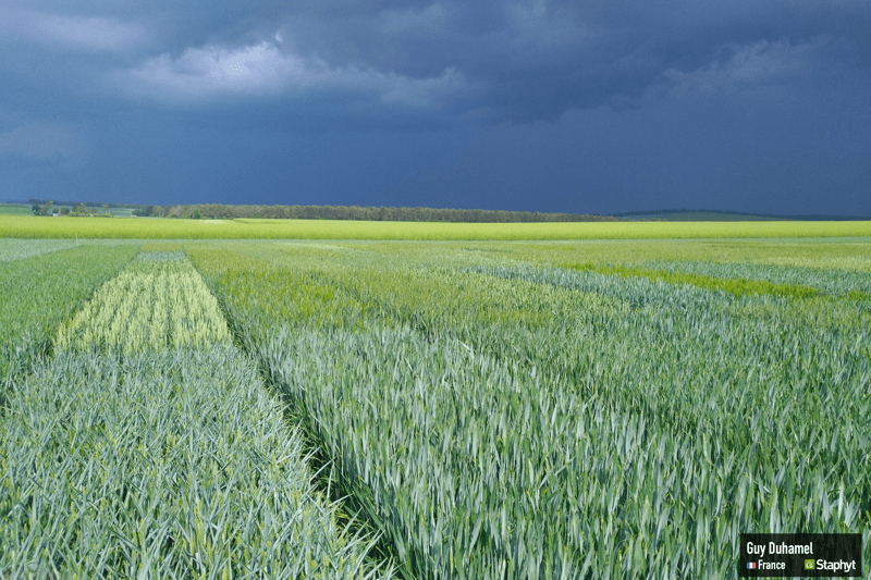 Landwirtschaftlich-Technischer Mitarbeiter image