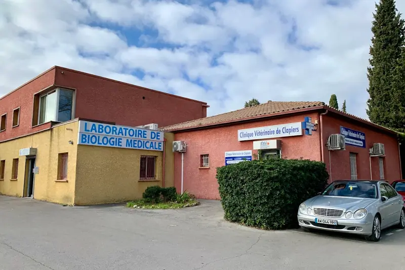 CLAPIERS - MONTPELLIER - AUXILIAIRE SPECIALISE VETERINAIRE CDD (H/F) image