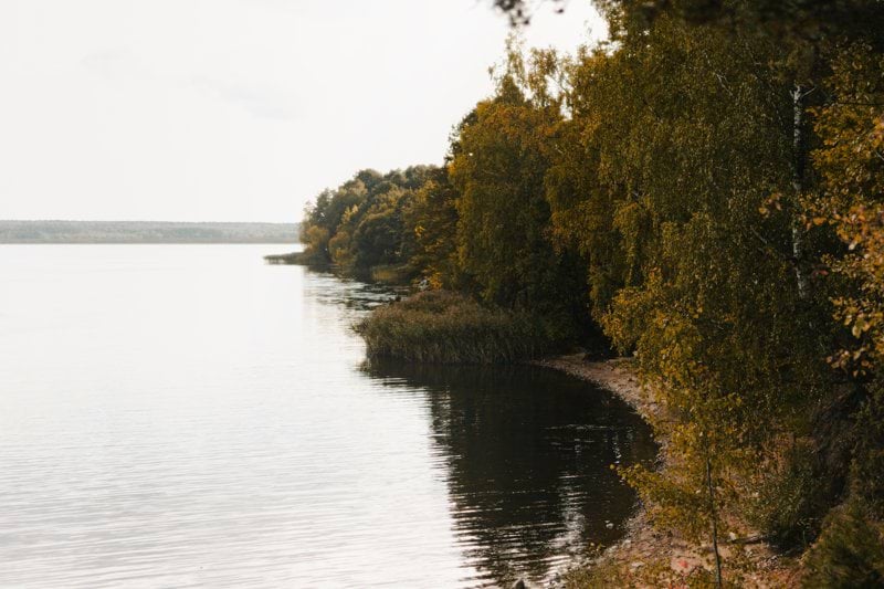 Turvaselvitetty sairaanhoitaja - Kouvola image