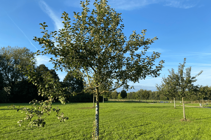 Gärtner*in (m/w/d) (Fachrichtung Garten- und Landschaftsbau) oder Landwirt*in (m/w/d) image