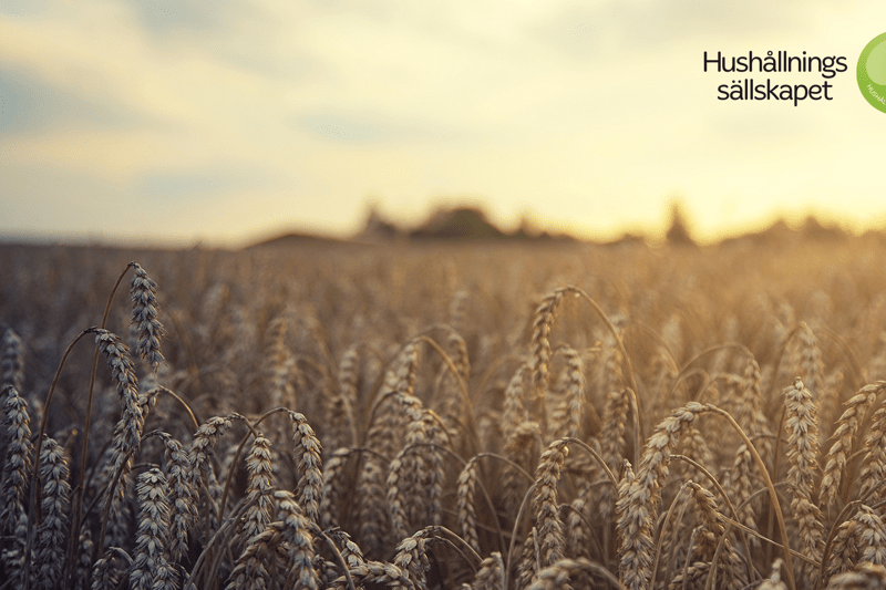 Entreprenadansvarig till Naturvårdsingenjörerna image