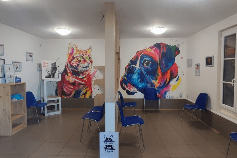 LOCHES - CLINIQUE DES LYS - VETERINAIRE GENERALISTE (H/F) - CDI image