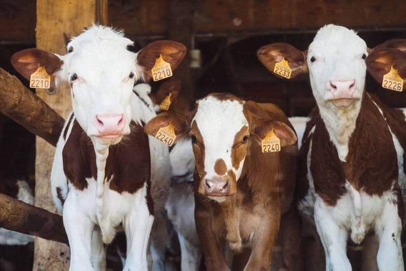 Senior Farm and Rural Underwriter image
