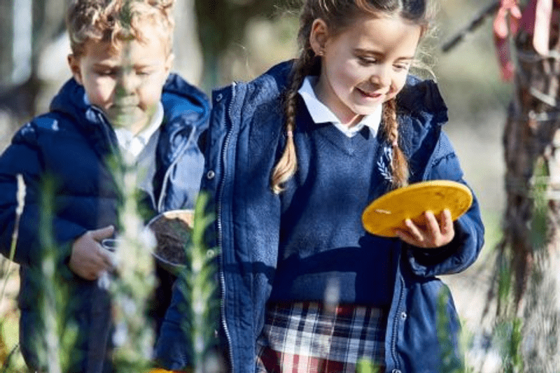 Primary Teacher image