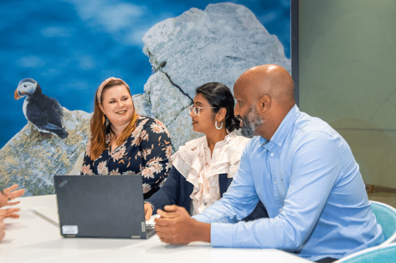 Service Management Professional image