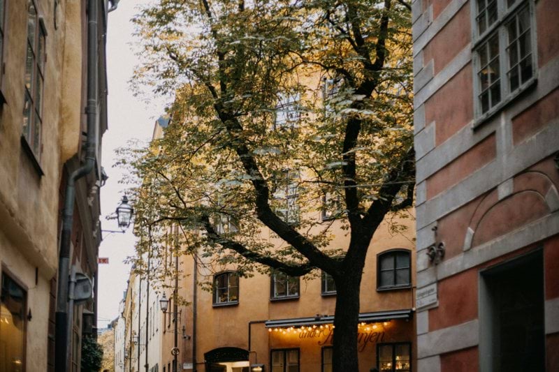 FP&A Business Controller i Stockholm image