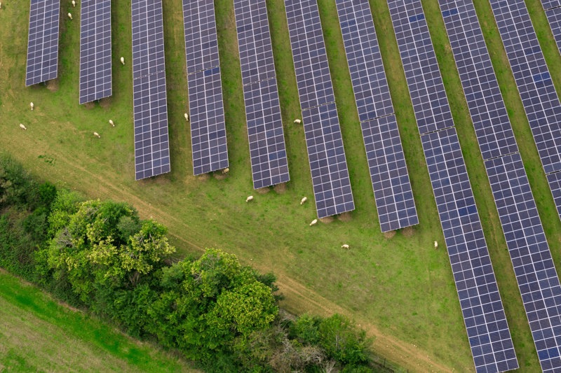 Alternance - Business Developer H/F image