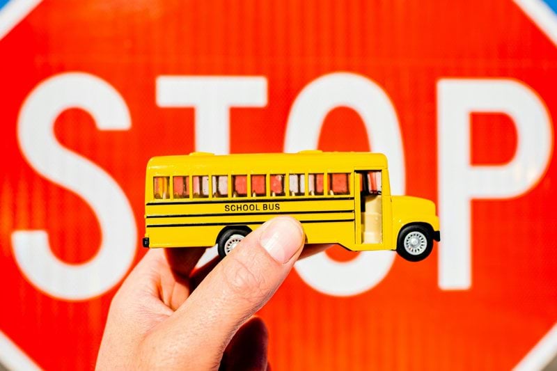 Substitute Bus Attendant image