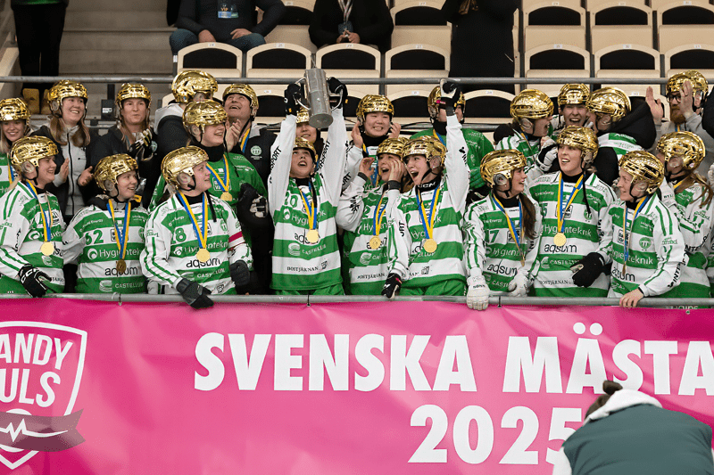 Klubbchef till VSK Bandy image