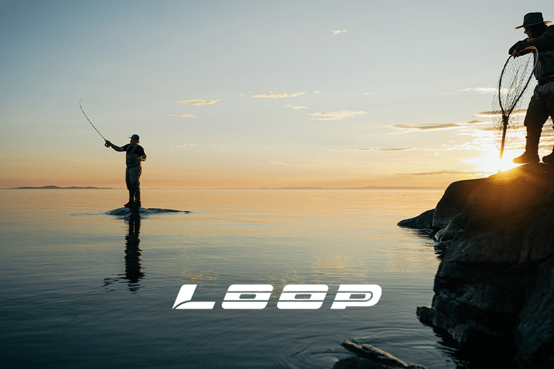 EUROPEAN SALES MANAGER - LOOP TACKLE image