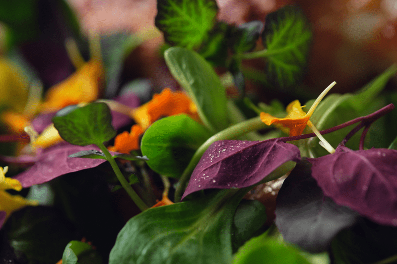 Chef for staff Meals at Noma image