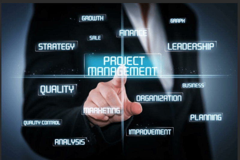 IT SENIOR PROJECT MANAGER image