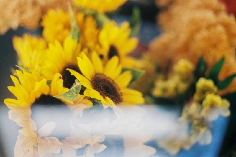 Butikssäljare till bemanningspool - Blomsterlandet - Häggvik image