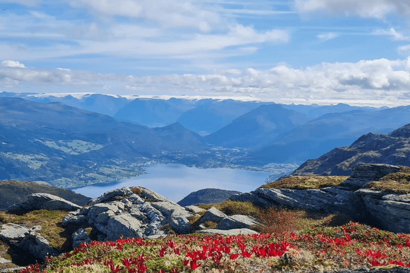Rekneskapsførar image