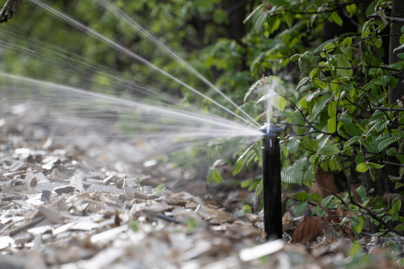 ALTERNANCE - CS Arrosage -  H/F image