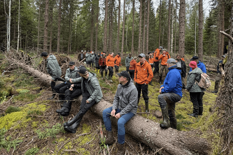 Mhy Länsi-Suomi: Metsäasiantuntija image
