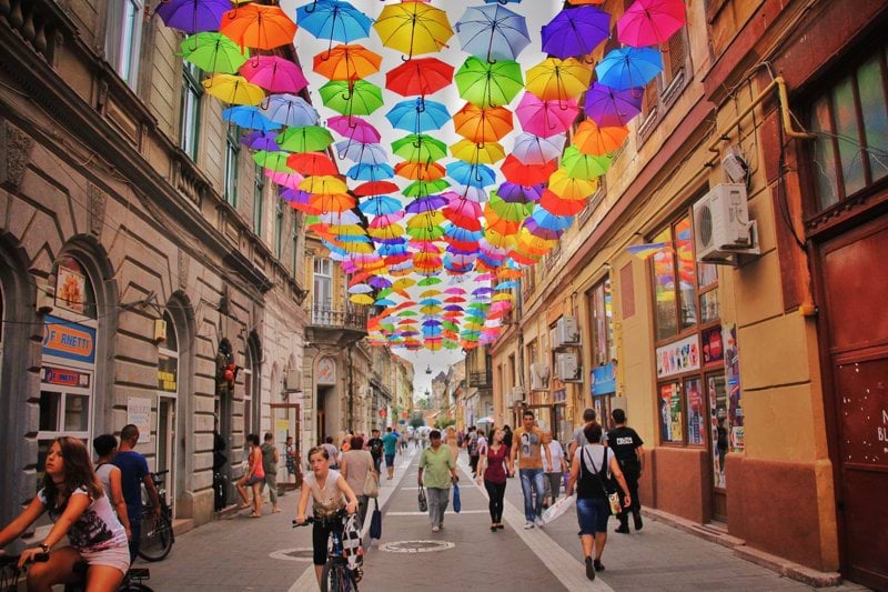 Romanian Customer Advisor image
