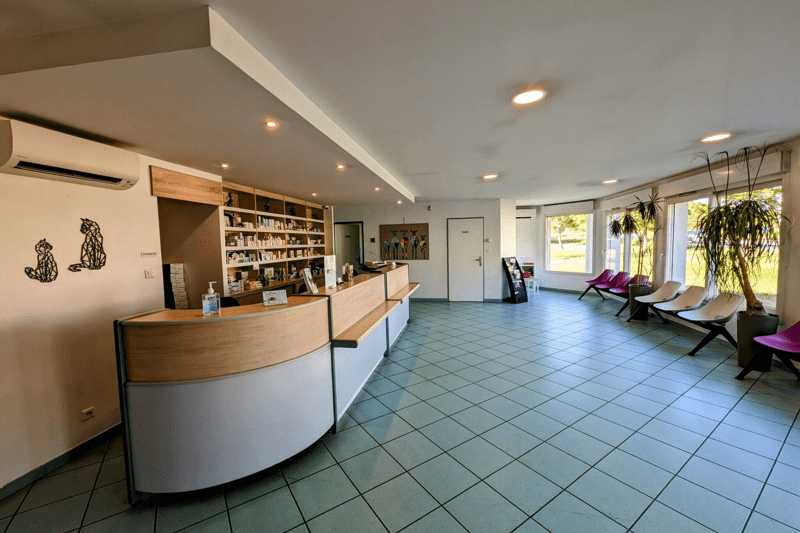 Saint-Sauveur-le-Vicomte - ASV - CDD image