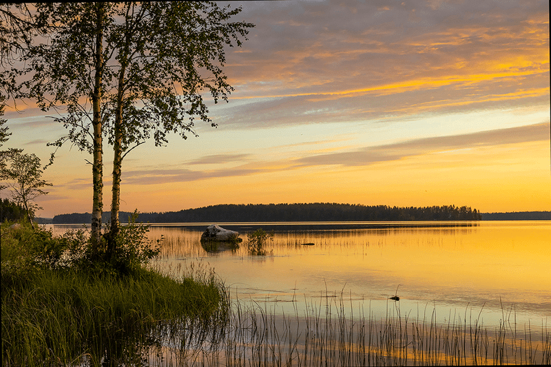 Oikomishoidon erikoishammaslääkäri - Pirkanmaa image