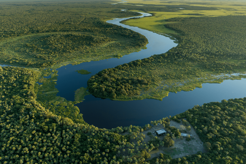 Chef till Naturavdelningen på WWF Sverige image