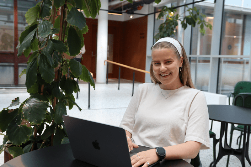 Nettlærer i Statistikk image