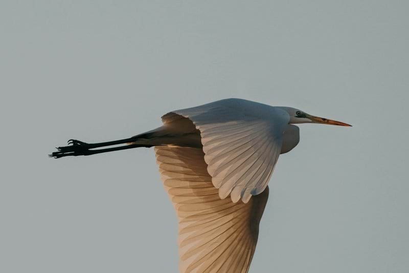 Control System Engineer image