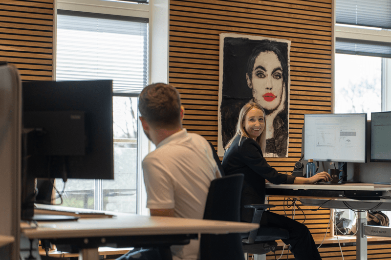 Internal Sales Supportere til Renewtechs productteams image