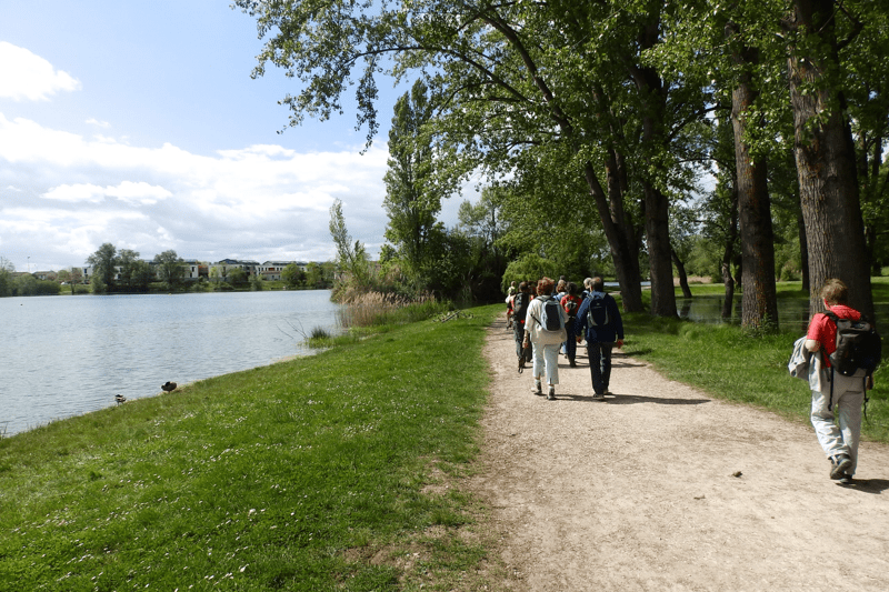 Commercial automobile H/F image