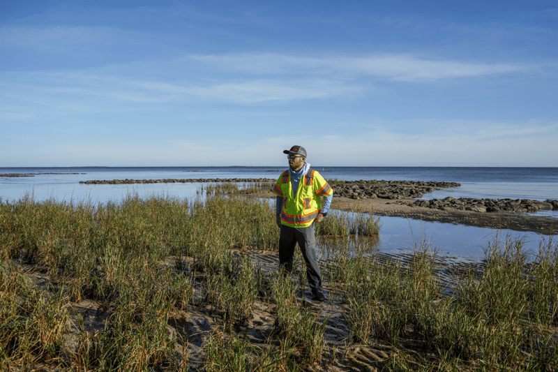 Handläggare till Förorenade områden image
