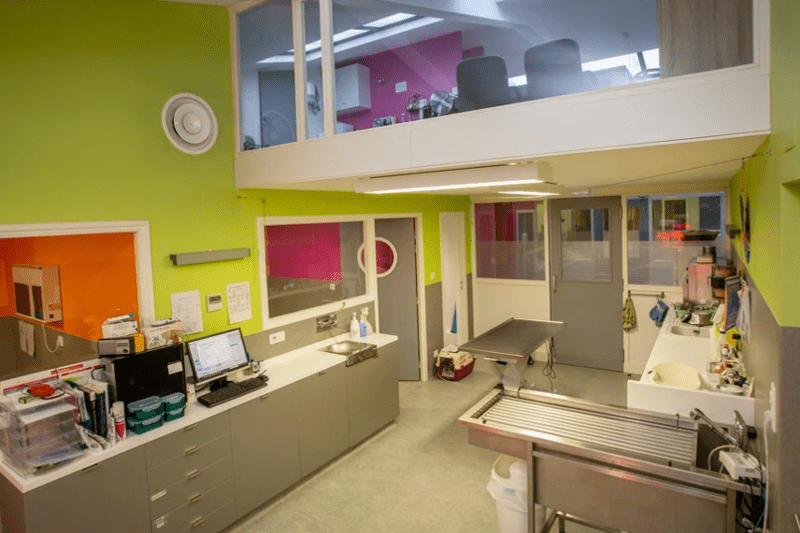 EPINAL 8800 - CLINIQUE VETERINAIRE DE L'ARCHE - VETERINAIRE CANIN - CDI H/F image