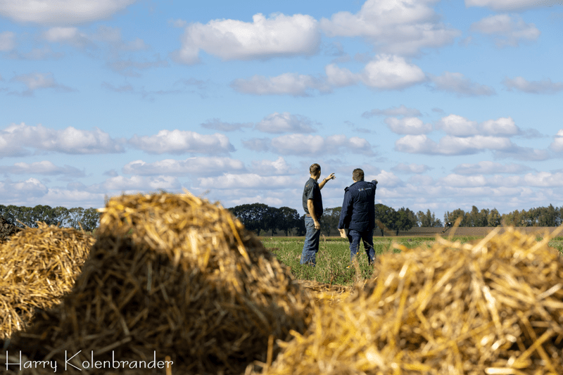 Leden voor de Adviesraad image