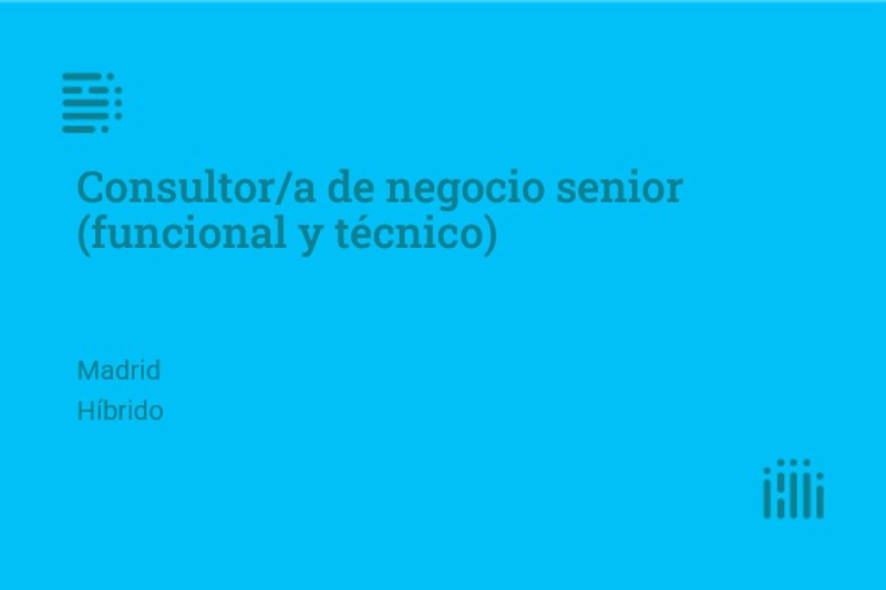Consultor/a de negocio senior (funcional y técnico) image