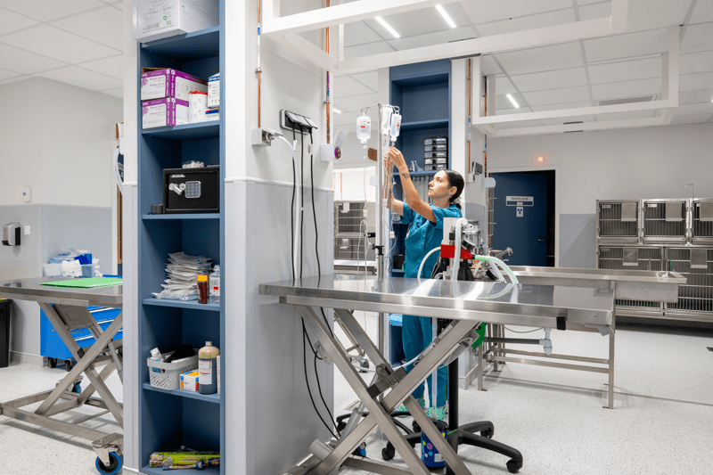 Agent d'entretien F/H image