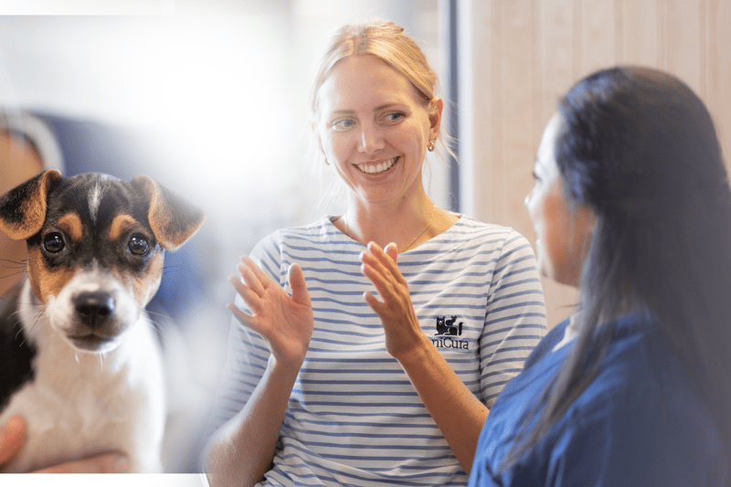 Tiermedizinische Praxisassistenz 40-100% (m/w/d) - Buttikon image