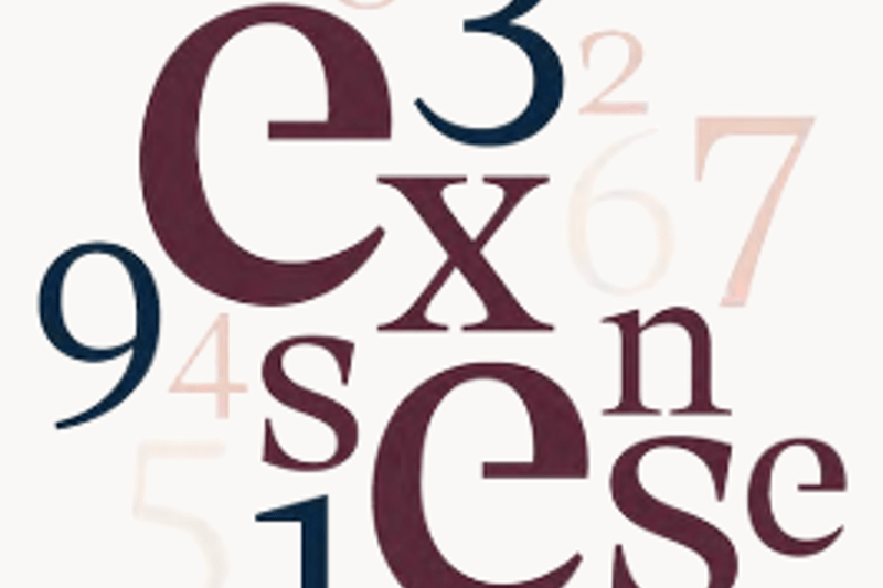 Senior Financial Controller image